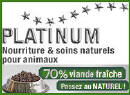 Platinum